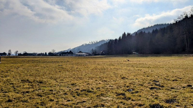 1100m2 für Ihr neues Zuhause in Pfaffstätt / Mattighofen