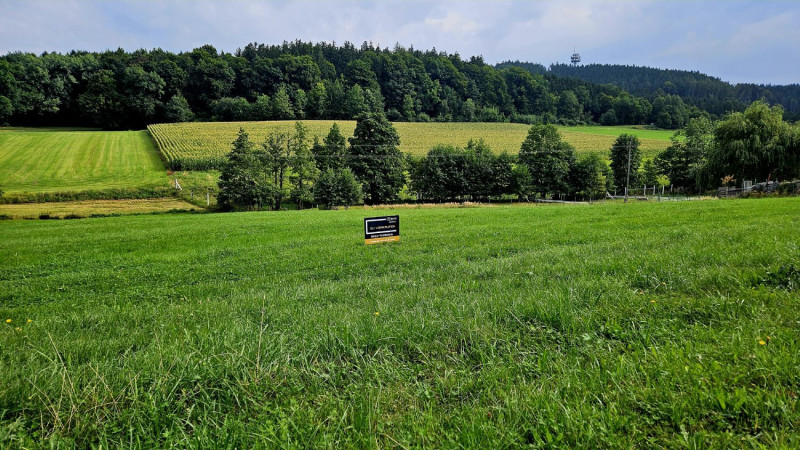 Kein Bauzwang: Großzügige Baugrundstücke in schöner Lage